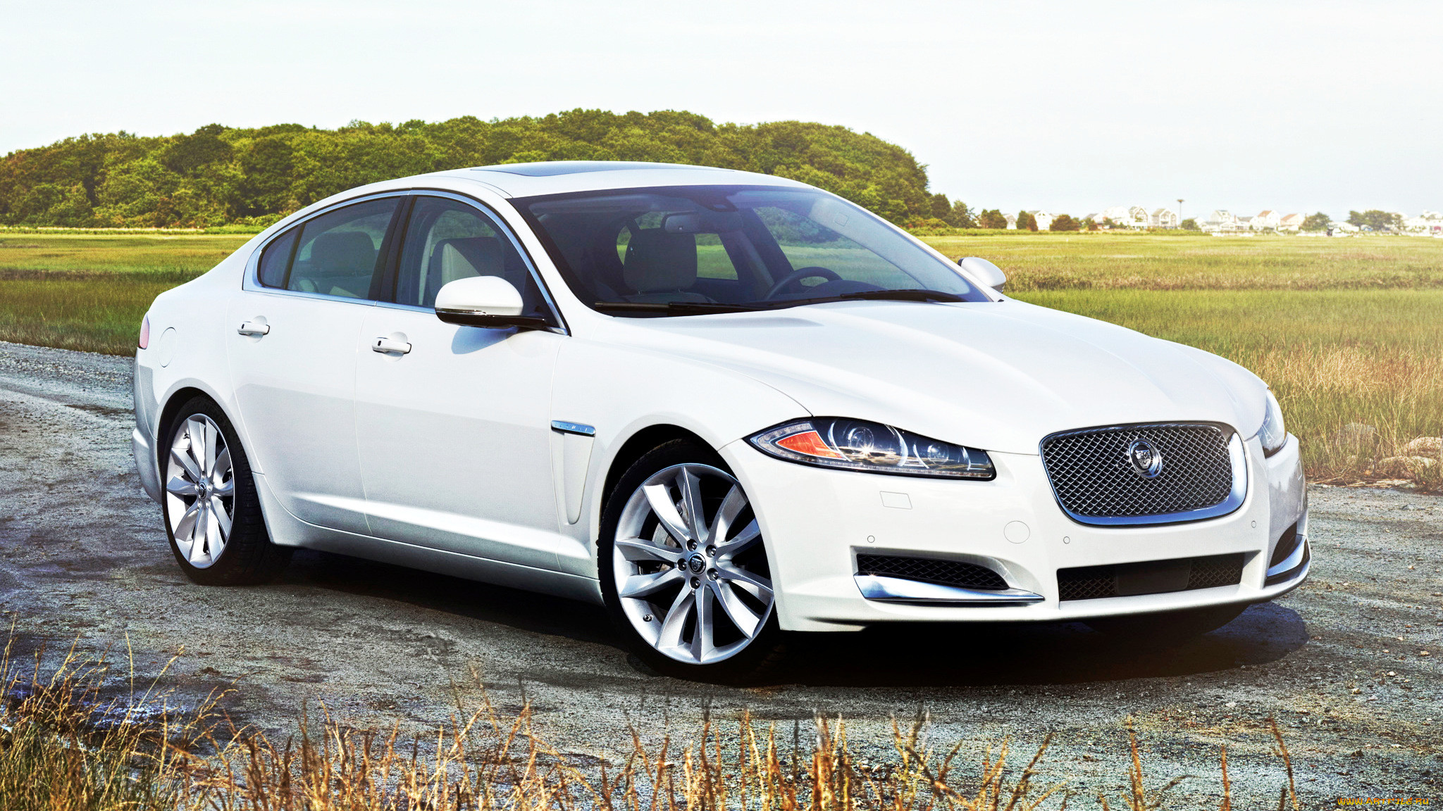 Jaguar xf картинки